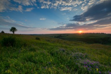Sunrise over fields and hills