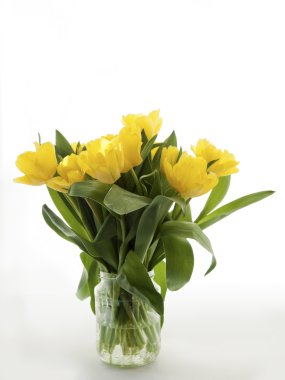 Sarı Lale buketi