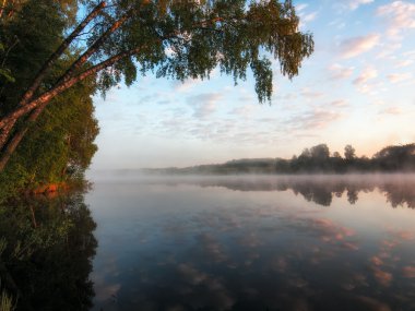 Morning on a tranquil lake.