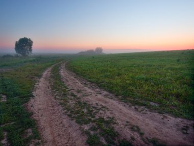 Countryside road throughout field.