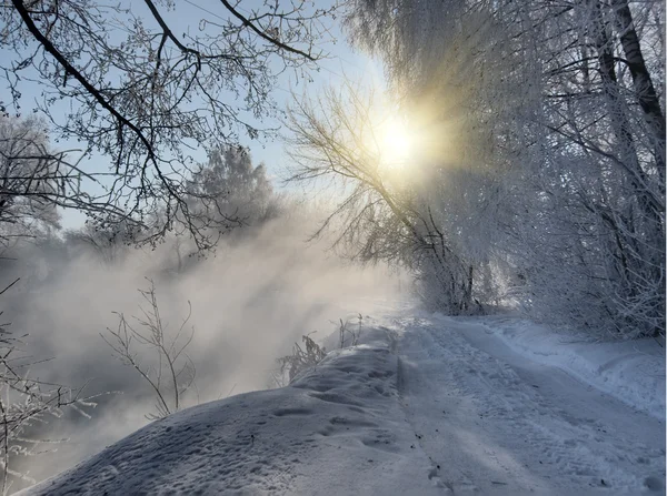 Carretera en bosque de invierno — Foto de Stock