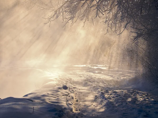 Road with beautiful sun light. — Φωτογραφία Αρχείου