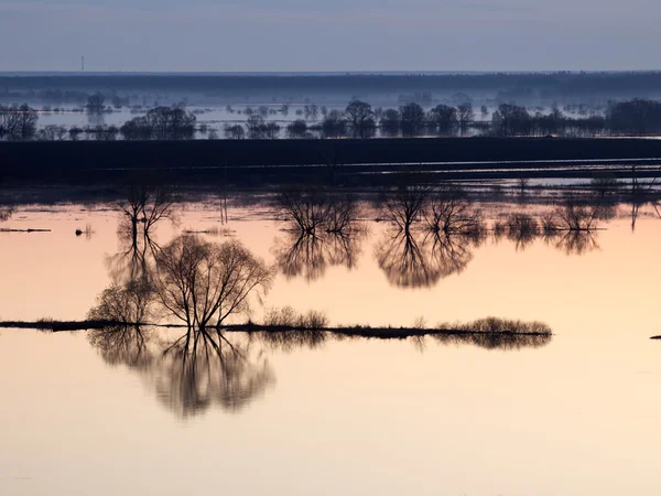 Hight water river on sunrise — Zdjęcie stockowe