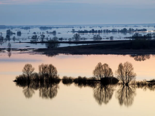 High water river at sunrise. — Zdjęcie stockowe