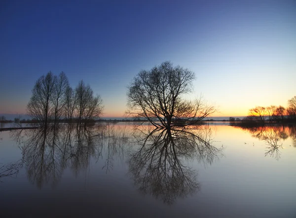 High water river at sunrise. — Stok fotoğraf