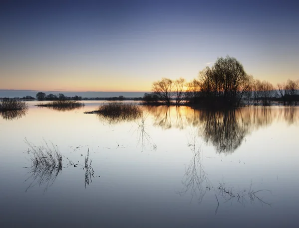 High water river at sunrise. — Zdjęcie stockowe