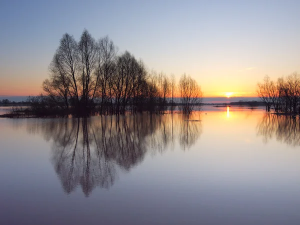High water river at sunrise — Stockfoto