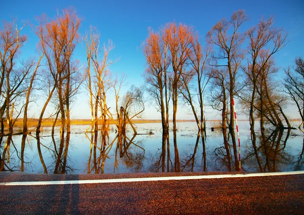 Hohe Wasserstände am Fluss Oka — Stockfoto