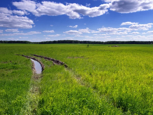 Estrada através do campo — Fotografia de Stock