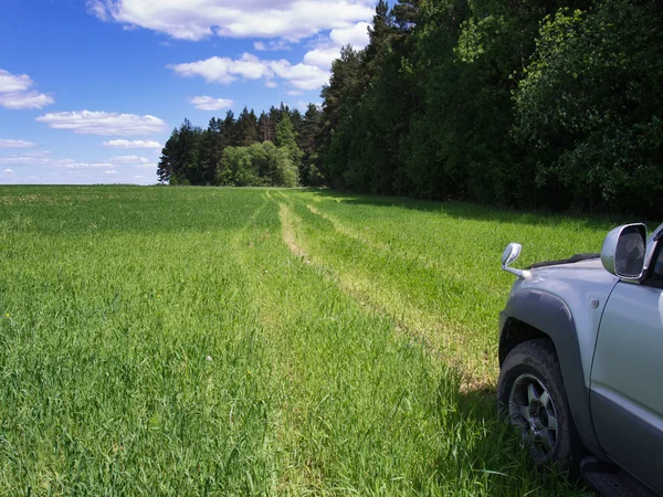Car on road through field — Stockfoto
