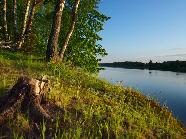Floresta em um lago ao pôr-do-sol — Fotografia de Stock