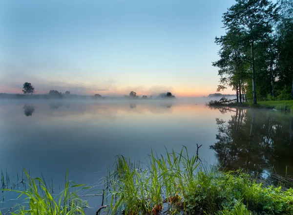 Tidig sommarmorgon — Stockfoto