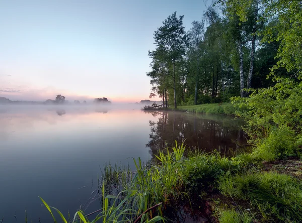 Утро на спокойном озере . — стоковое фото