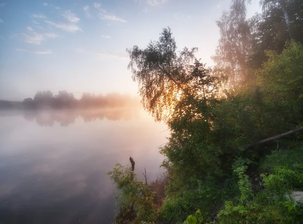 Wcześnie rano lato — Zdjęcie stockowe