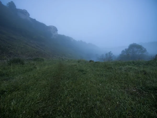 Early morning in a river gorge — Stock Photo, Image