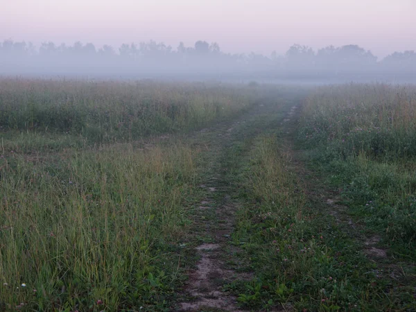 Ομίχλη δρόμο — Φωτογραφία Αρχείου