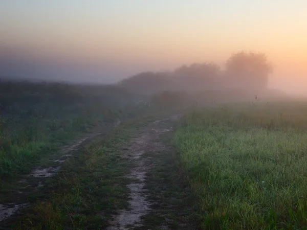 Foggy road — Fotografie, imagine de stoc