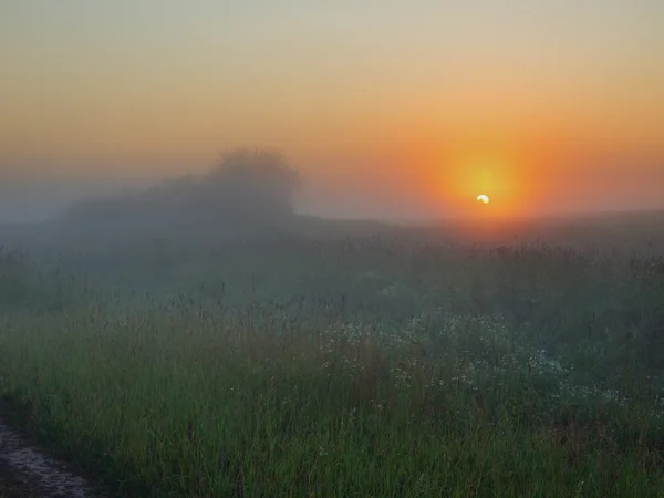 霧の道 — ストック写真