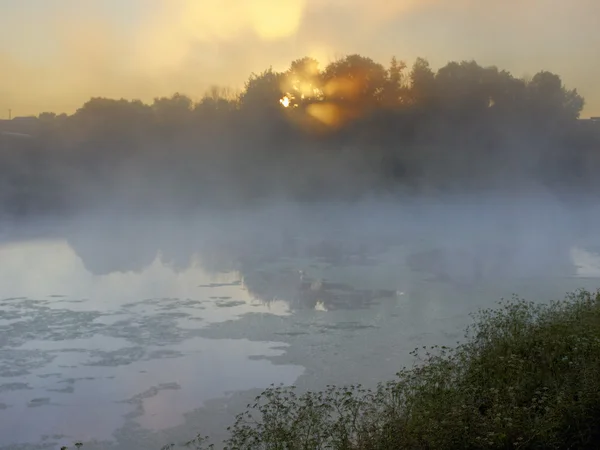 Východ slunce nad zamlžené jezero — Stock fotografie