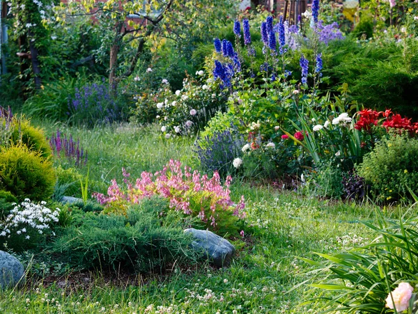 Jardin avec beaucoup de fleurs — Photo