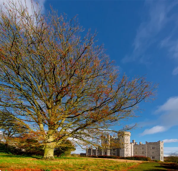 View of Killeen Castle — Stockfoto