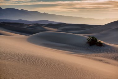 Mesquite flat sand dunes clipart