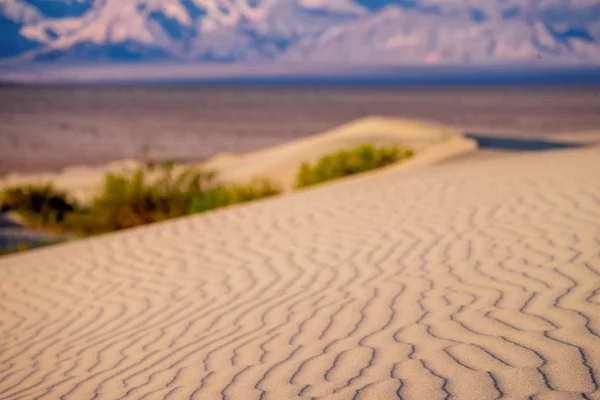 Dunes de sable assez plates au lever du soleil — Photo