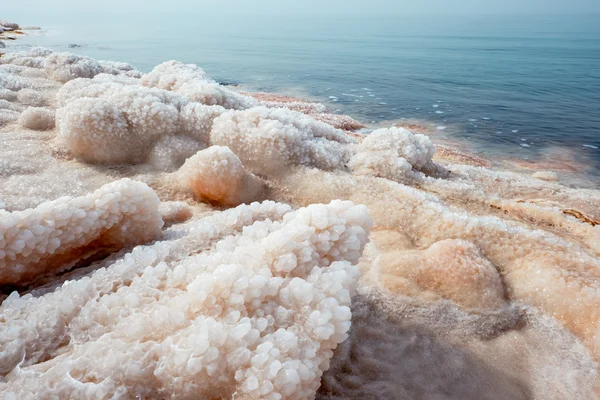 Côtes de la mer Morte. Jordanie — Photo