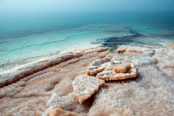Crystallized salt cover the beach — Stock Photo, Image