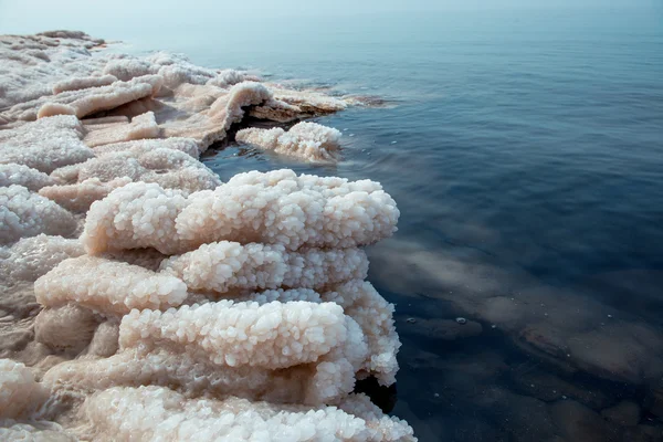 Кристаллизованная соль покрывает пляж — стоковое фото