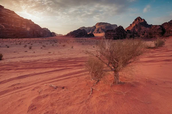 Утро в пустыне Вади Рам — стоковое фото