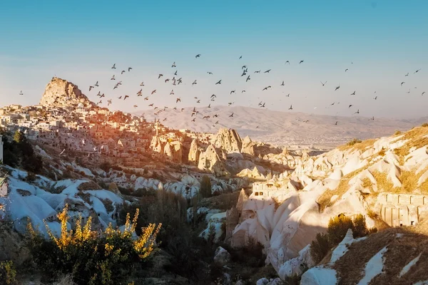 Valle de palomas cerca de la ciudad de Uchisar — Foto de Stock