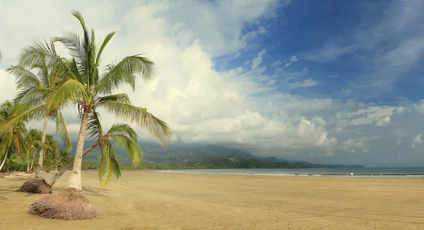 Uvita strand panorama, costa rica Stockbild