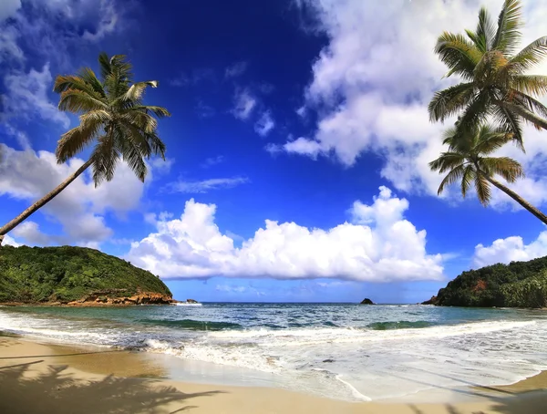 Prachtige strand in Dominica — Stockfoto