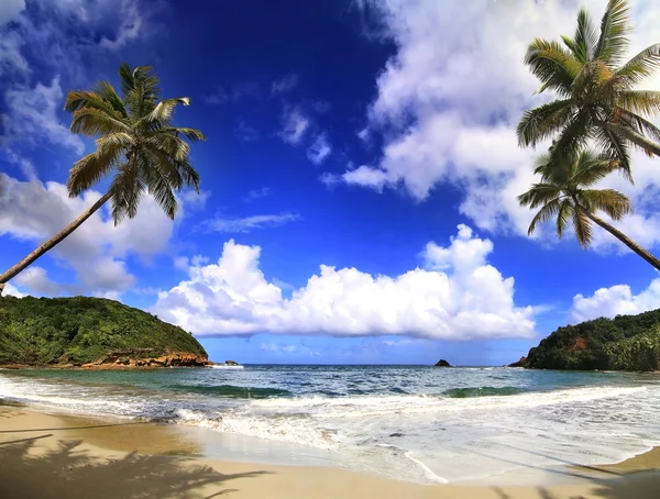Gyönyörű strand Dominika Stock Kép