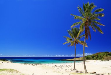 Paskalya Adası Beach'de