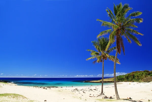 Пляжі на острові Пасхи Стокове Фото