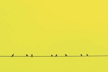 Kuşların silueti telde, sarıya boyanmış.