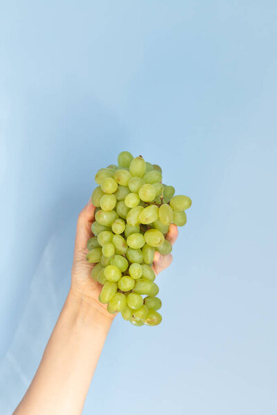 Рука держит зеленый виноград на синем фоне, здоровый образ жизни