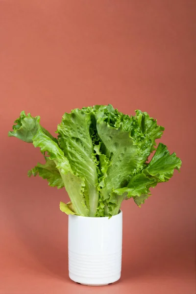 Salada Orgânica Fresca Uma Panela Contra Fundo Marrom Conceito Alimentação — Fotografia de Stock