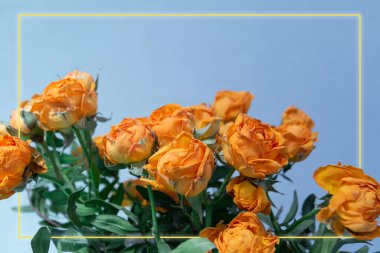 turuncu gül çiçekleri, altın çerçeveli arkaplan, metin için boş alan, tebrik kartı şablonu