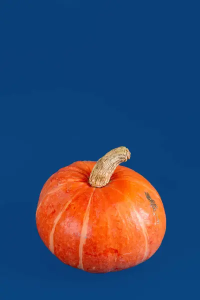 Orange Pumpkin Isolated Blue Background — Stock Photo, Image