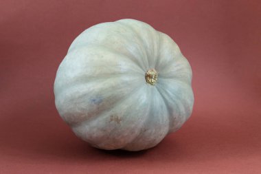 Kahverengi arkaplanda yeşil balkabağı izole