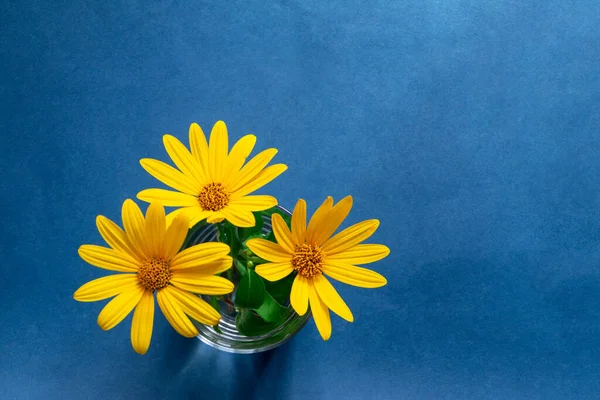 Gele Bloemen Bovenaanzicht Tegen Blauwe Achtergrond Stockfoto