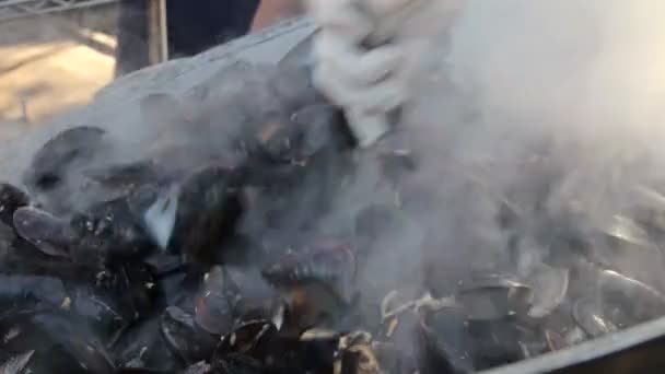Cooking big boiler of fresh mussles — Stock Video