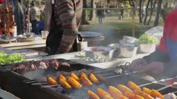 在户外的火上烤的肉和蔬菜烧烤， — 图库视频影像