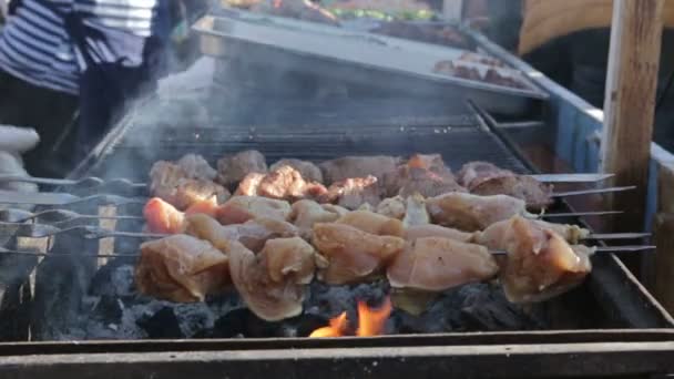 Cuisson barbecue de viande sur le feu — Video