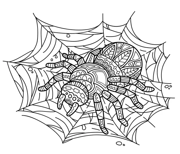Mignonne araignée sur toile . — Image vectorielle