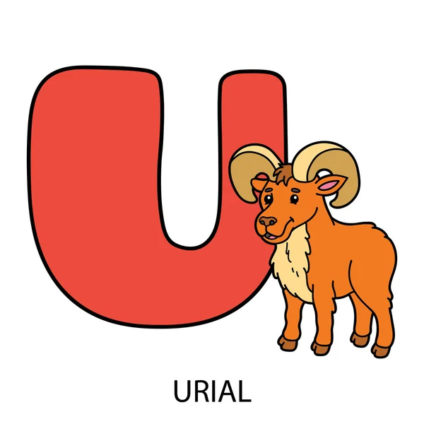 Animal alphabet card. — 图库矢量图片