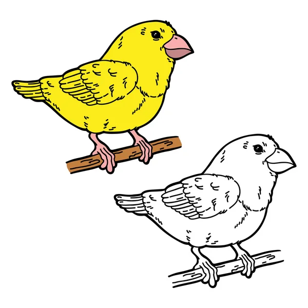 Oiseau drôle . — Image vectorielle
